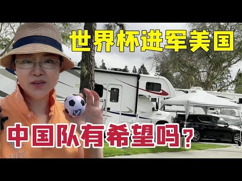 2026世界杯48队分布