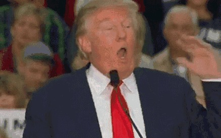 2026世界杯已经确定的球队