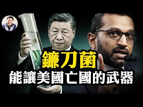 2026世界杯已经确定的球队
